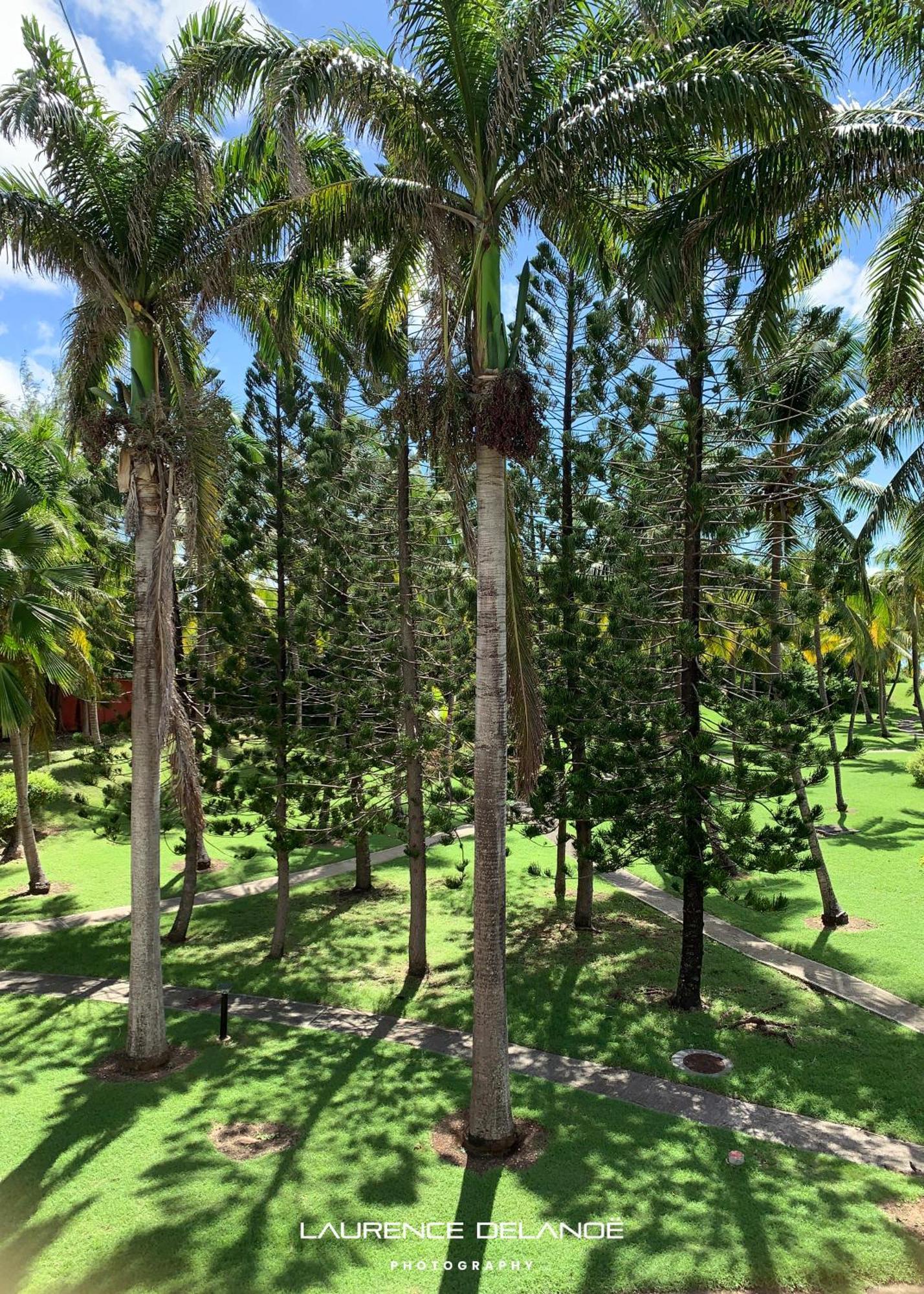 Appartement Varangue, Anse Des Rochers Saint-Francois  Esterno foto
